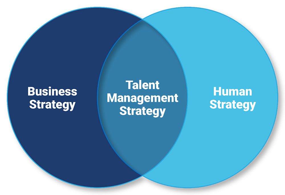 Talent Strategy for IT Services Company
